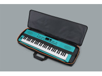 <b>Roland CB-V61 Saco Almofadado para Teclados 61-teclas NEW!</b> <b>Roland CB-V61 Saco Almofadado para Teclados 61-teclas NEW!</b>